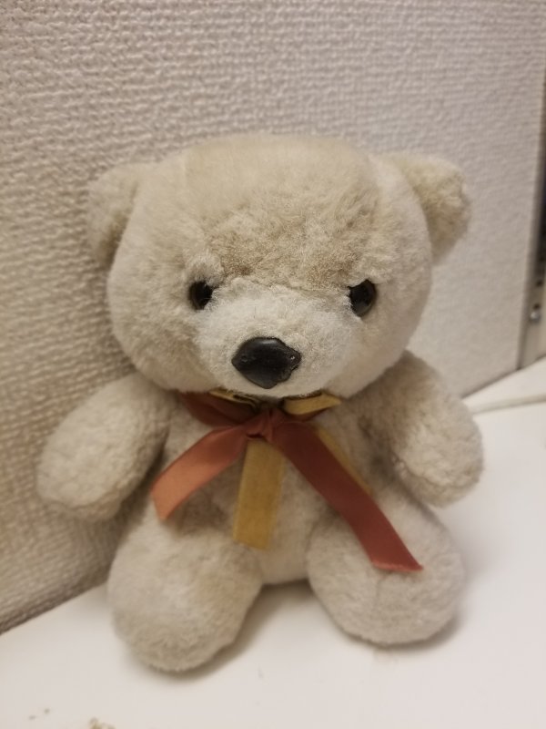 続けるバカ