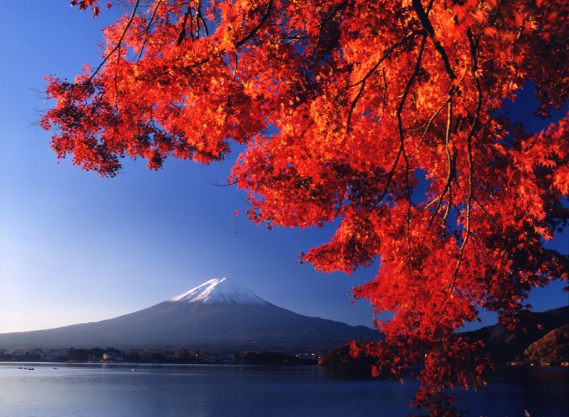 ★November★
