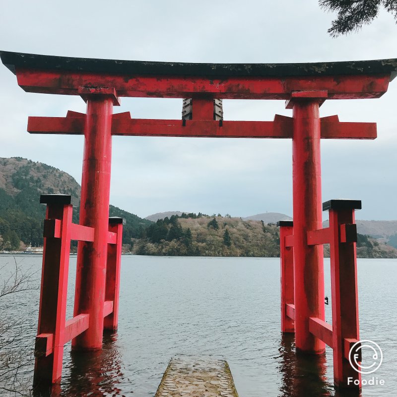 先日は、、、