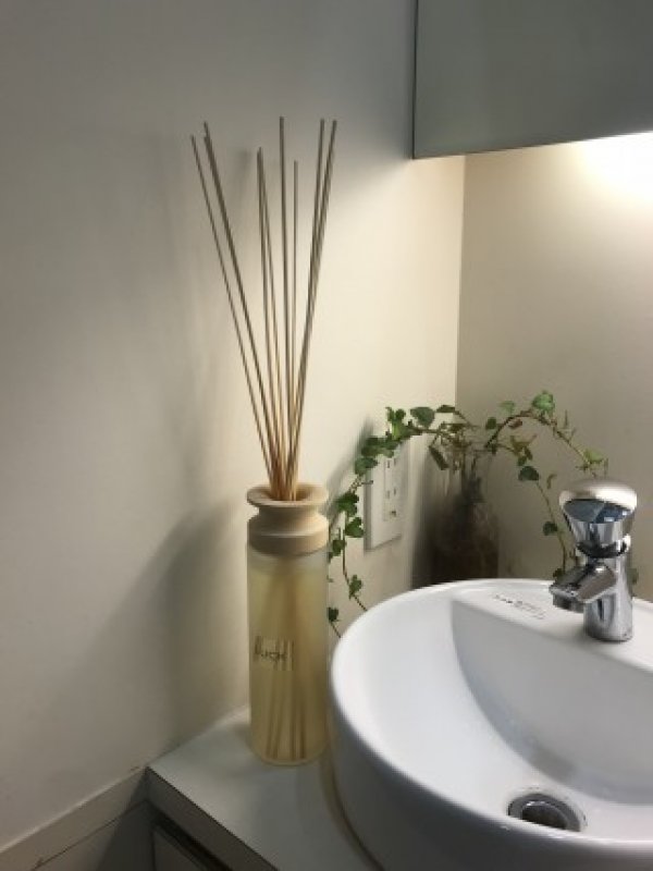 new商品