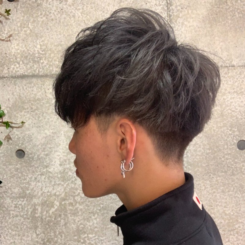 冬のグレーシルバー