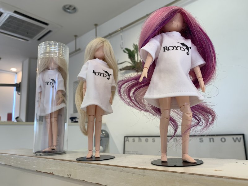 ロイドちゃん  見参‼️