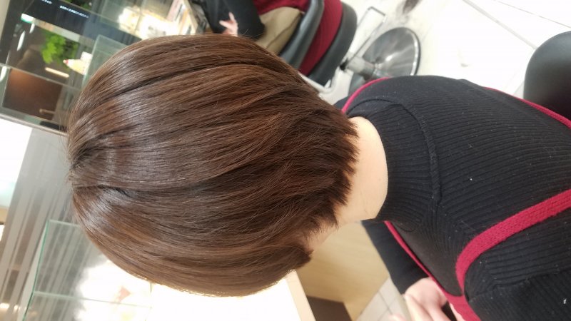 新年のバッサリカット