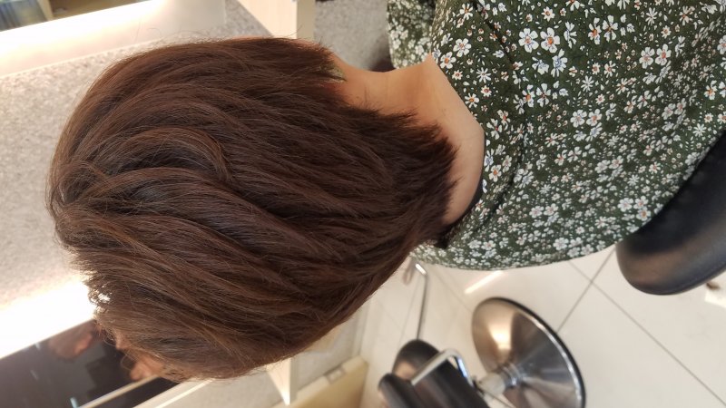 バッサリカットのすすめ