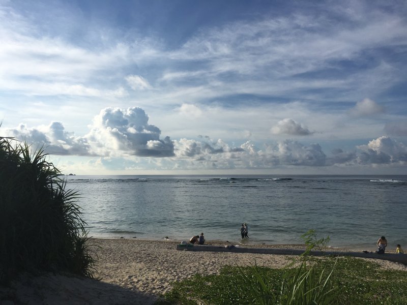 夏休みのお知らせ