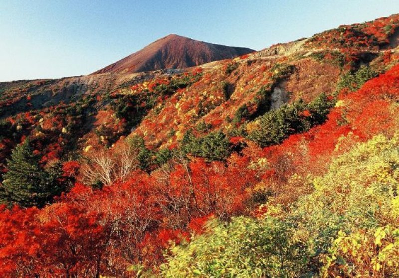 紅葉