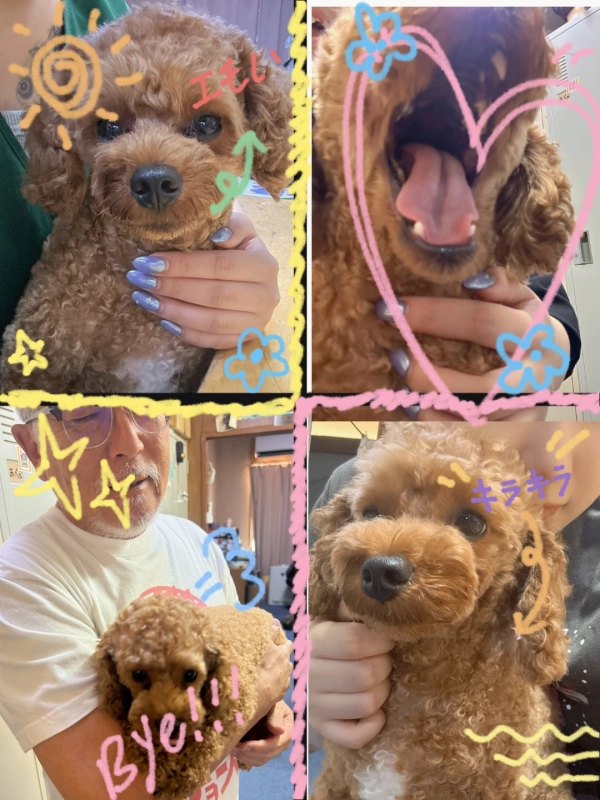 仕事中でも癒し