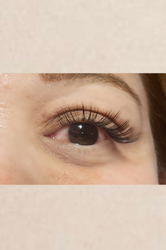 volume lash