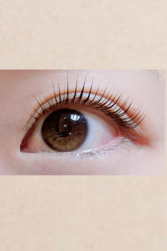 parisienne lash lift