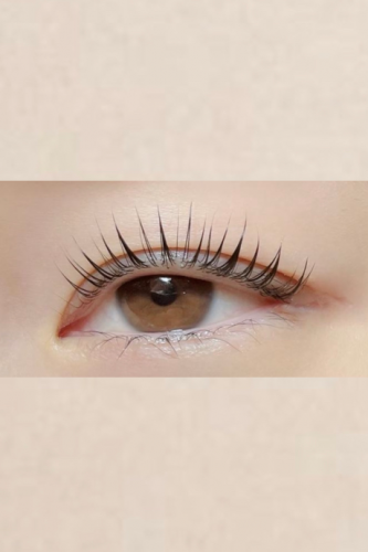 parisienne lash lift