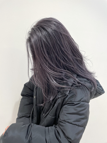 lavender grey