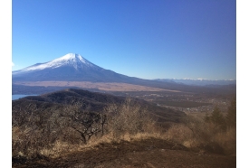 元旦は♪