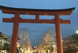 ✨新年度✨