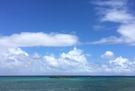 初めての・・・