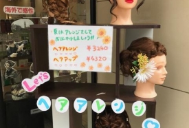 アレンジウィッグ
